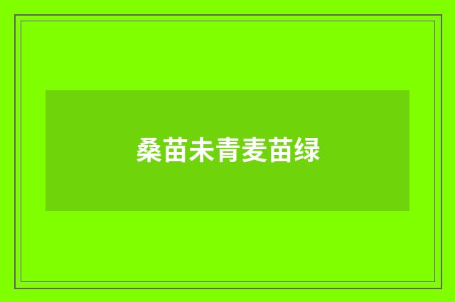 桑苗未青麦苗绿
