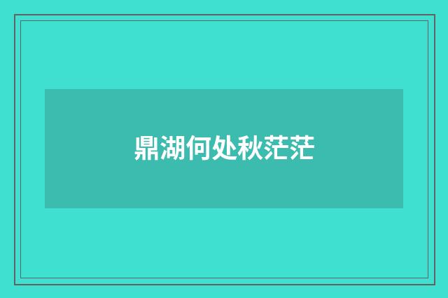 鼎湖何处秋茫茫