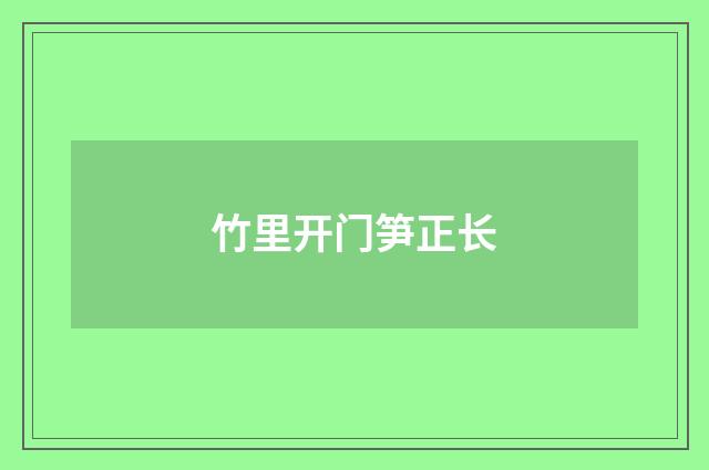 竹里开门笋正长