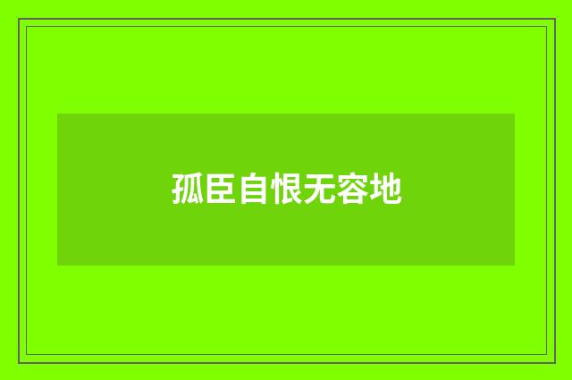 孤臣自恨无容地
