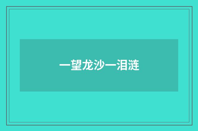 一望龙沙一泪涟