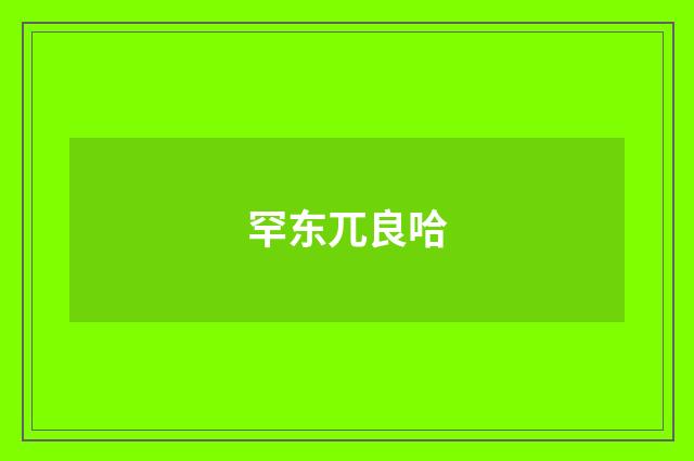罕东兀良哈