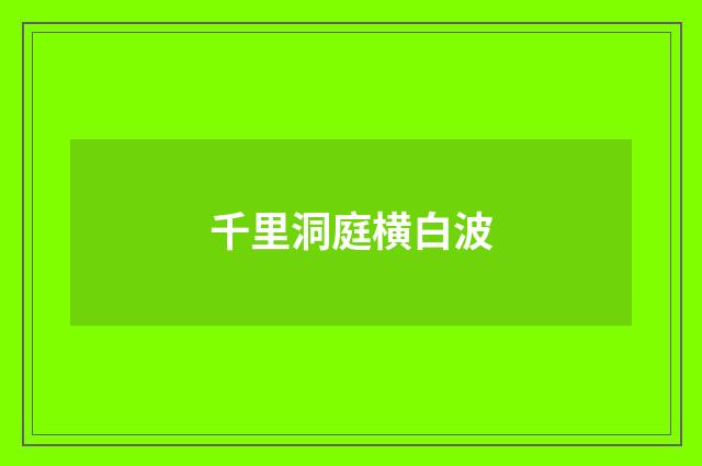 千里洞庭横白波