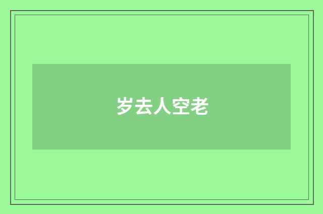岁去人空老