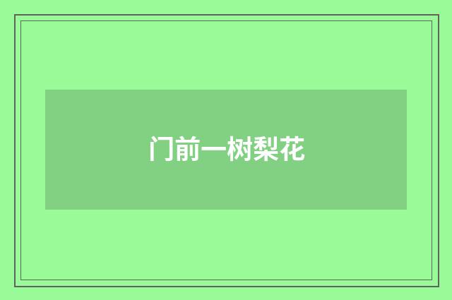 门前一树梨花
