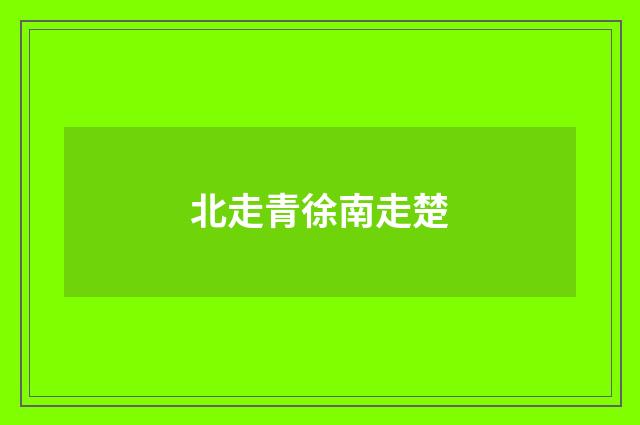 北走青徐南走楚