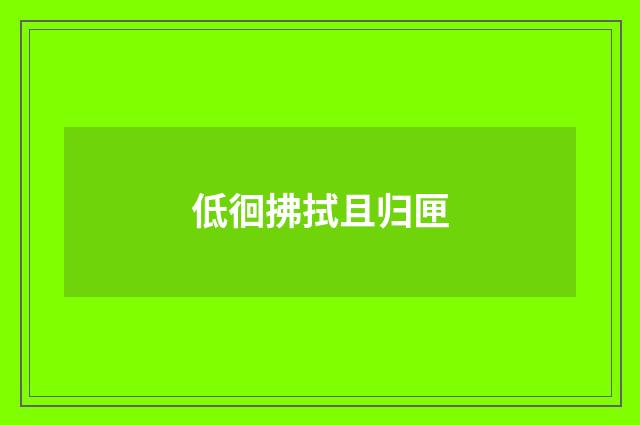 低徊拂拭且归匣