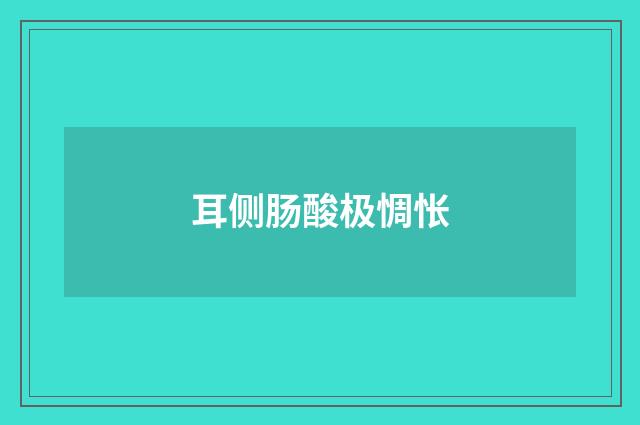 耳侧肠酸极惆怅