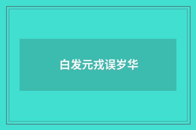白发元戎误岁华