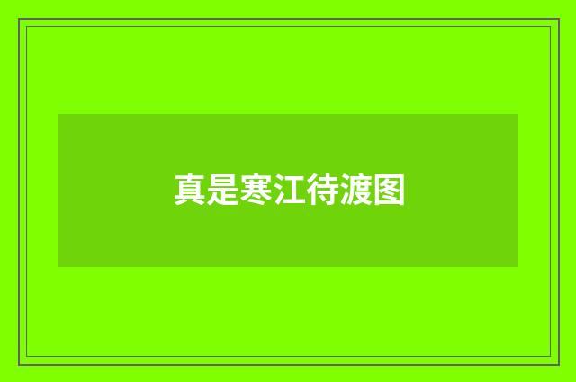真是寒江待渡图
