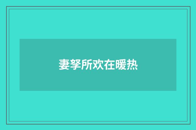 妻孥所欢在暖热
