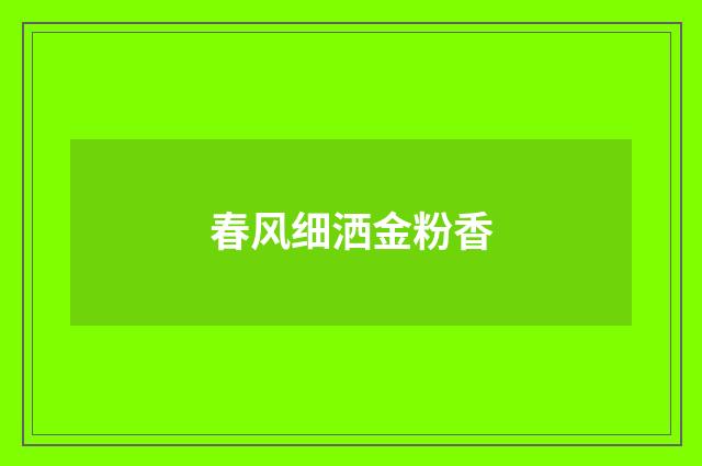 春风细洒金粉香