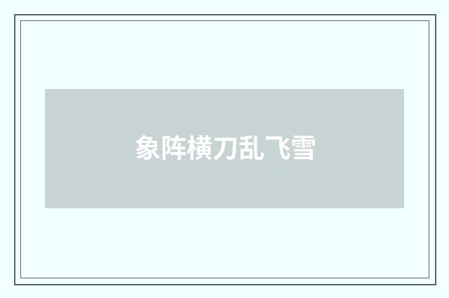 象阵横刀乱飞雪