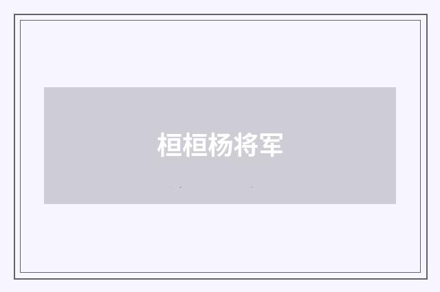 桓桓杨将军