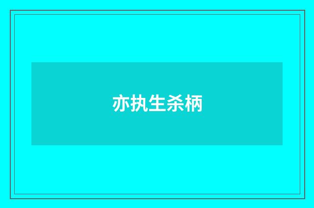 亦执生杀柄