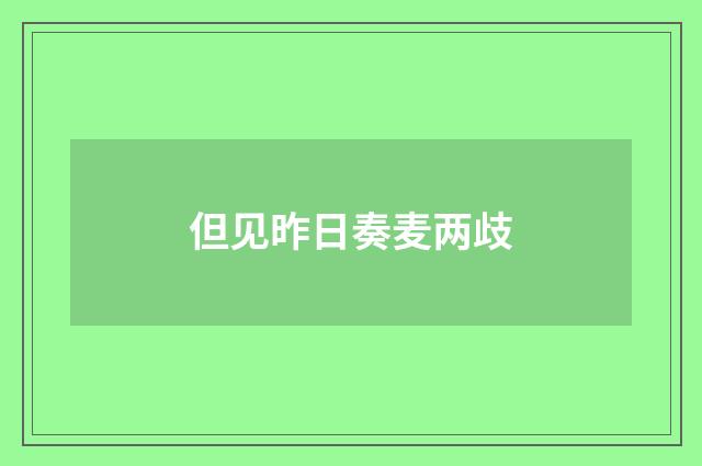 但见昨日奏麦两歧