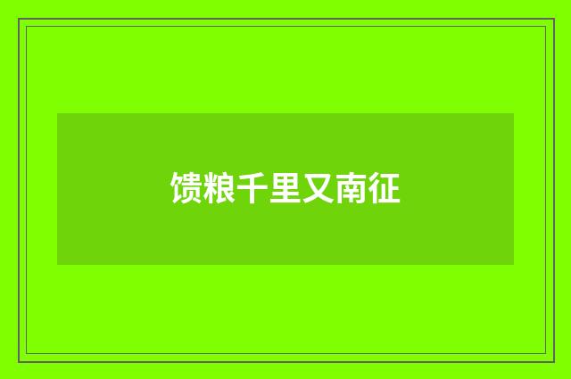 馈粮千里又南征