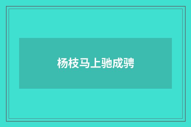 杨枝马上驰成骋