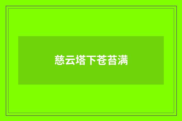 慈云塔下苍苔满