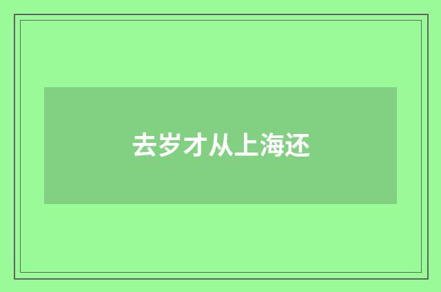 去岁才从上海还