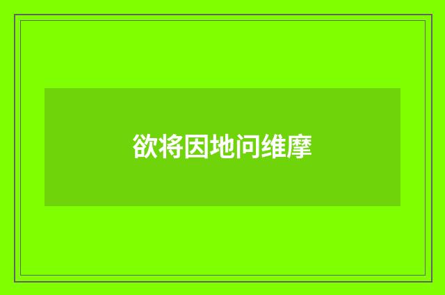 欲将因地问维摩