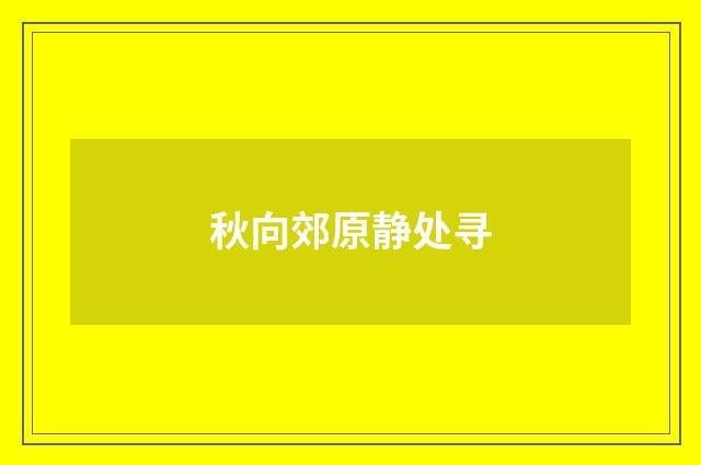 秋向郊原静处寻