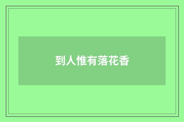 到人惟有落花香