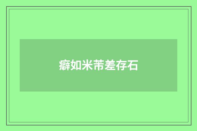 癖如米芾差存石