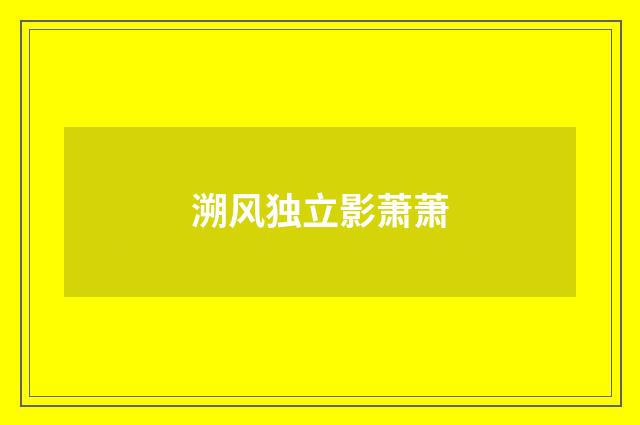 溯风独立影萧萧