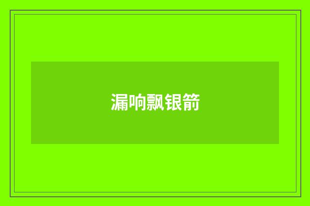 漏响飘银箭