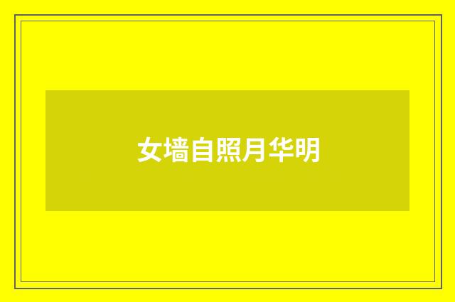 女墙自照月华明