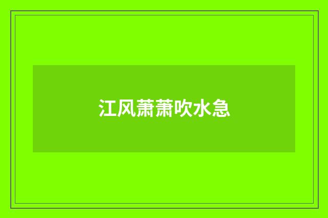 江风萧萧吹水急