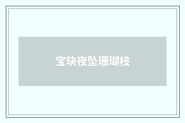 宝玦夜坠珊瑚枝