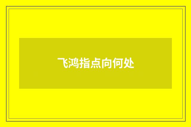 飞鸿指点向何处