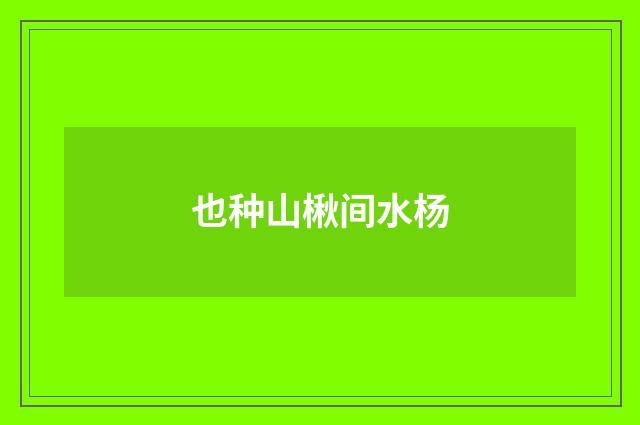 也种山楸间水杨