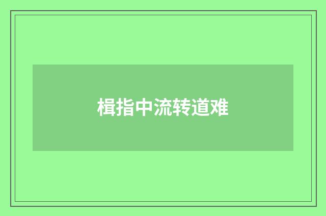 楫指中流转道难