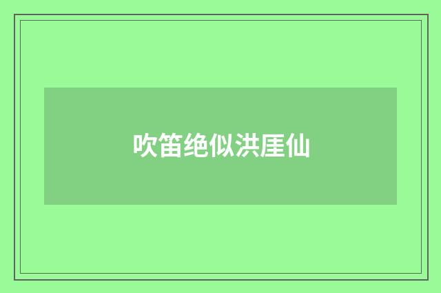 吹笛绝似洪厓仙