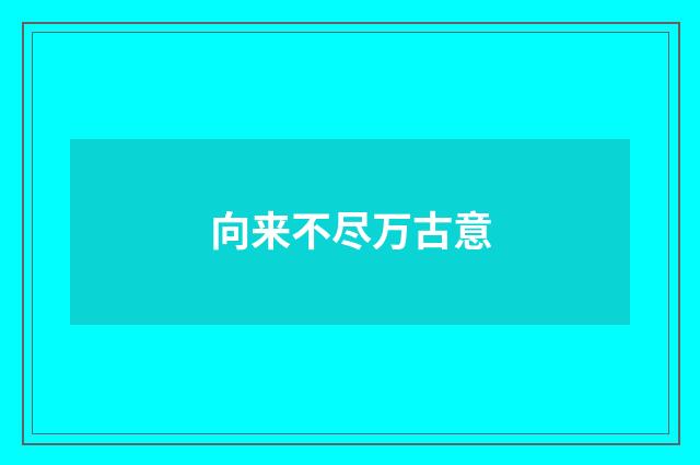向来不尽万古意
