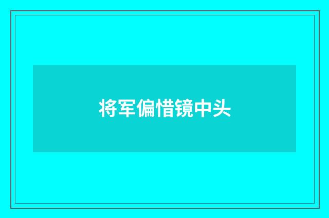 将军偏惜镜中头