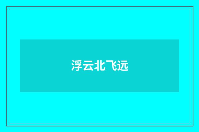 浮云北飞远