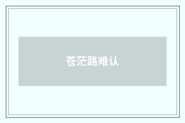 苍茫路难认
