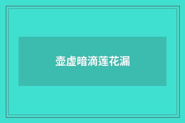 壶虚暗滴莲花漏