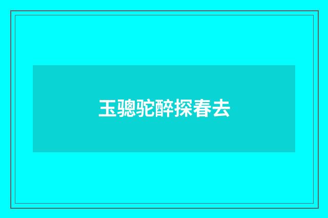 玉骢驼醉探春去