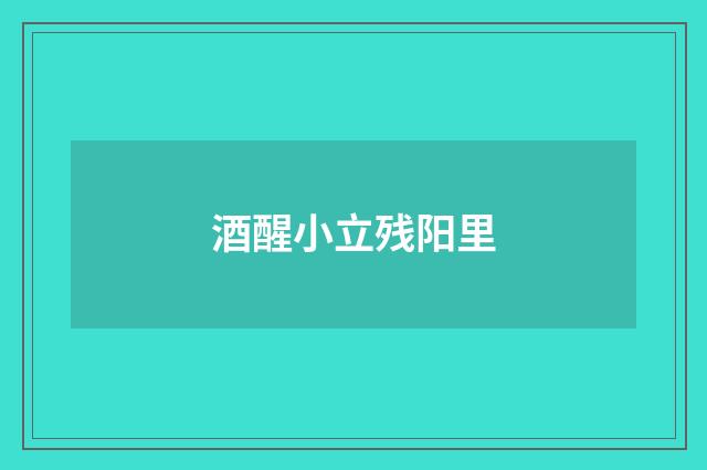 酒醒小立残阳里