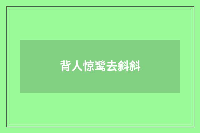 背人惊鹭去斜斜
