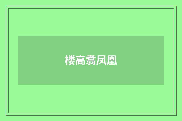 楼高翥凤凰