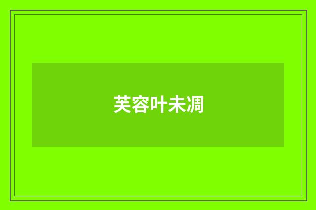 芙容叶未凋