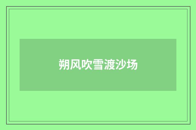 朔风吹雪渡沙场