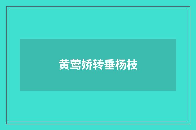 黄莺娇转垂杨枝