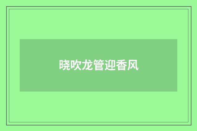 晓吹龙管迎香风